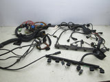 BMW E53 X5 3.0l 01-03 complete engine harness (USED)