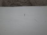 BMW E46 Sedan 99-06 Trunk Lid White (USED)