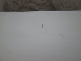 BMW E46 Sedan 99-06 Trunk Lid White (USED)