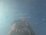 BMW E38 740i 740iL 750iL trunk lid green (USED)