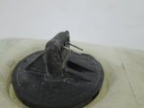 BMW E36 Windshield Washer Tank Fluid Reservoir 61668378723 (USED)*