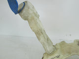 Volkswagen Passat wagon washer tank 3B0955453AD AE (USED)*