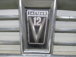 Jaguar XJS V12 front grille 76-91 #5 (USED)