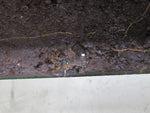 SAAB 96 Circa 1970 w/V4 Fresh Air Cowl below Windshield Panel (USED)